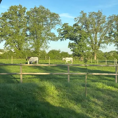 Havre De Paix Au Coeur D'un Domaine Equestre