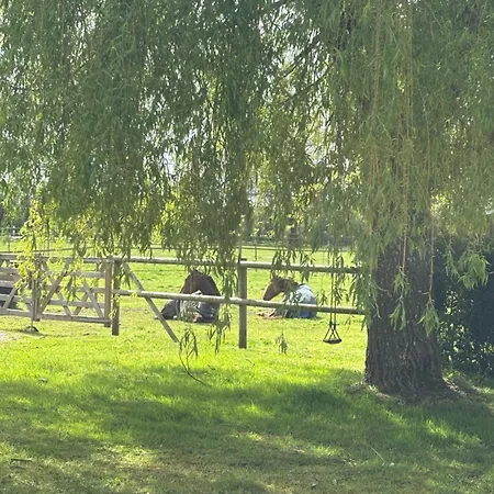 Havre De Paix Au Coeur D'un Domaine Equestre * Saint-Erblon (Mayenne)